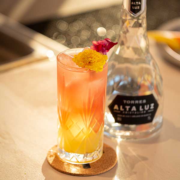 Torres Alta Luz Fizz by Paradiso